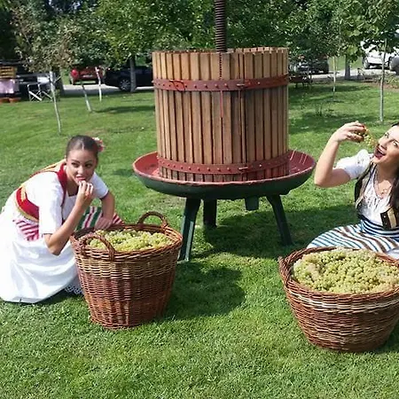 Salas Tatic 3* Turja