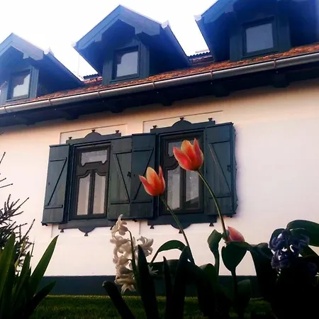 Salas Tatic 3* Turja