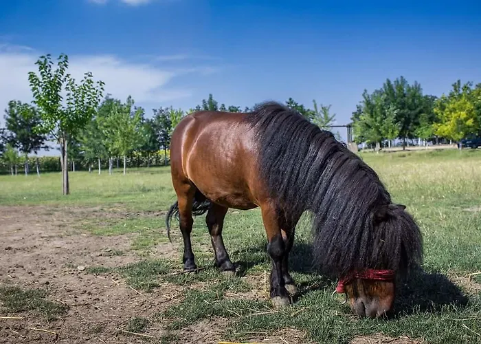 Salas Tatic Penzion 3*